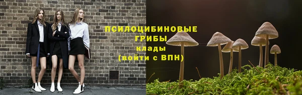 mdpv Армянск