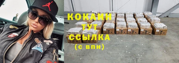 шишки Медвежьегорск