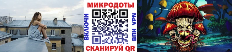 Галлюциногенные грибы мухоморы  Стародуб 