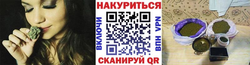 мега ссылка  Стародуб  Марихуана OG Kush 